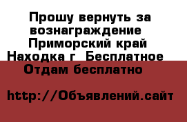 Прошу вернуть за вознаграждение - Приморский край, Находка г. Бесплатное » Отдам бесплатно   